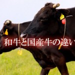 和牛と国産牛の違い