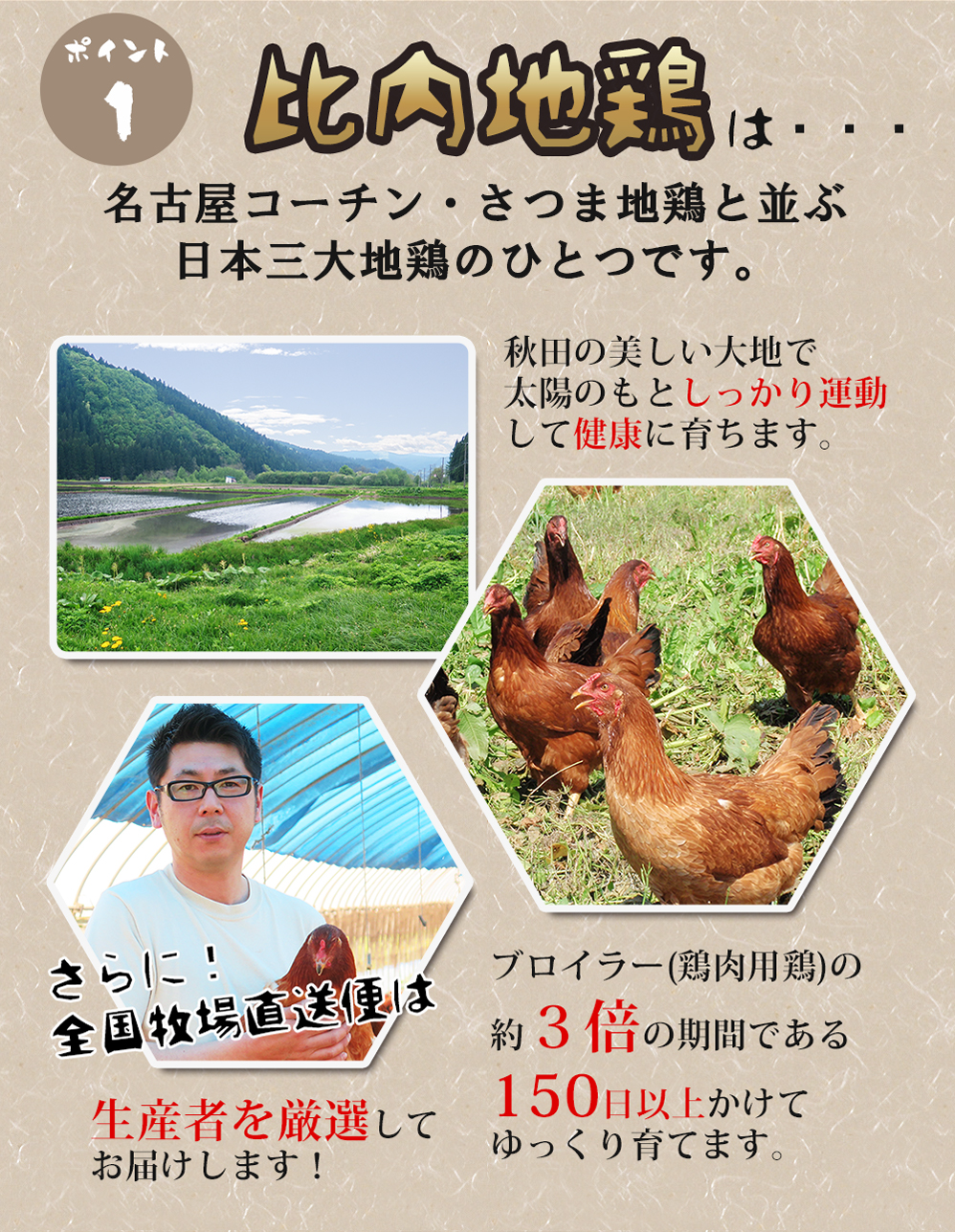 比内地鶏は名古屋コーチン、さつま地鶏と並ぶ日本三大地鶏の一つです。