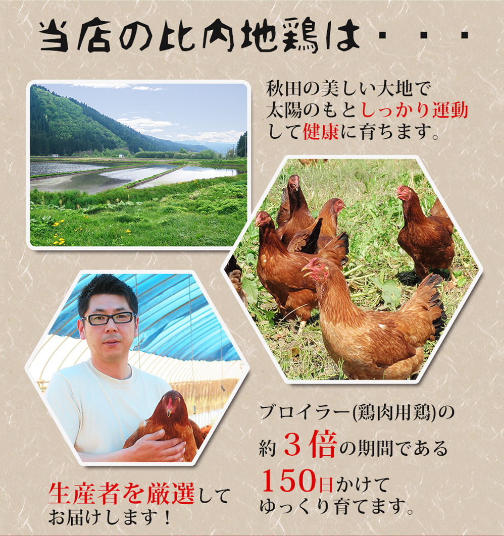 秋田の美しい大地で太陽のもとしっかり運動して健康に育った地鶏を産直