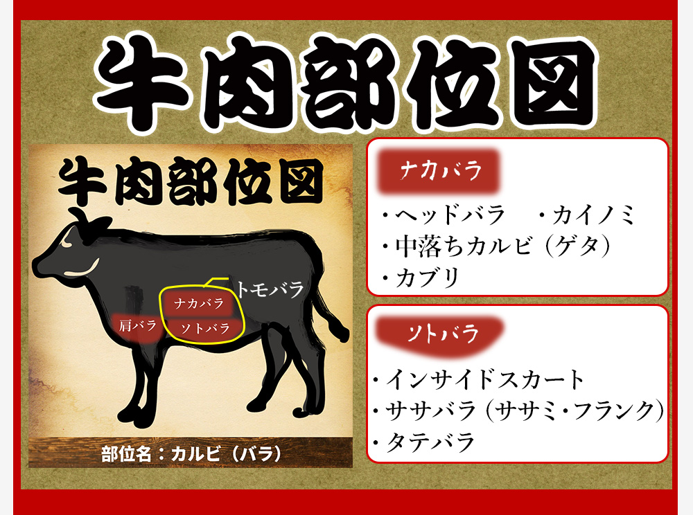 牛肉カルビ部位図
