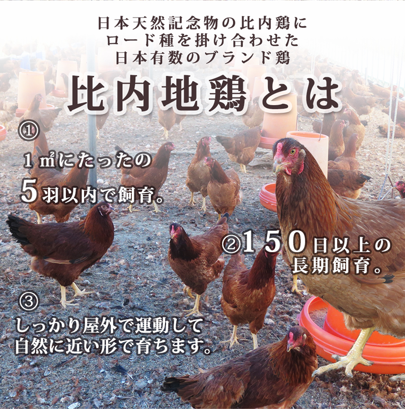 秋田比内地鶏とは日本天然記念物の比内鶏にロード種を掛け合わせた日本有数のブランド
