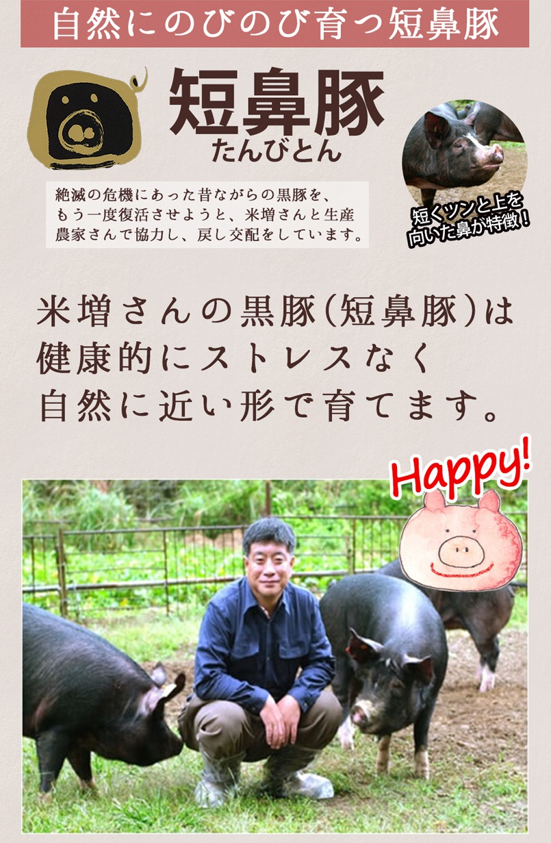 米増さんの黒豚は自然に近い形で飼育されています